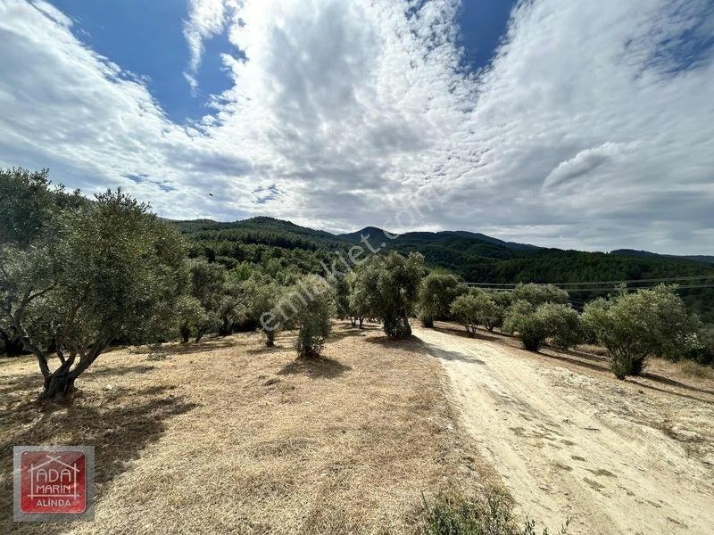 Davutlar Merkeze 300 Mt 14.000 M² Panoramik Deniz Manzaralı Arsa — fotoğraf 13