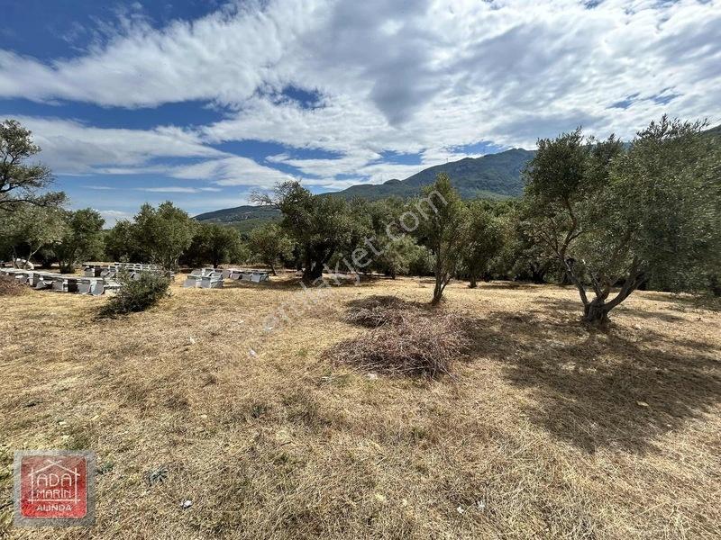 Davutlar Merkeze 300 Mt 14.000 M² Panoramik Deniz Manzaralı Arsa — fotoğraf 14