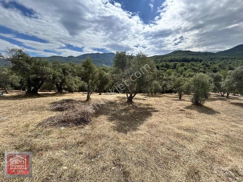 Davutlar Merkeze 300 Mt 14.000 M² Panoramik Deniz Manzaralı Arsa — fotoğraf 15
