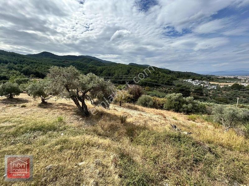 Davutlar Merkeze 300 Mt 14.000 M² Panoramik Deniz Manzaralı Arsa — fotoğraf 16