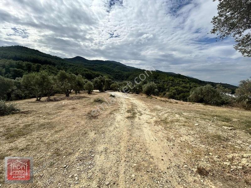 Davutlar Merkeze 300 Mt 14.000 M² Panoramik Deniz Manzaralı Arsa — fotoğraf 23