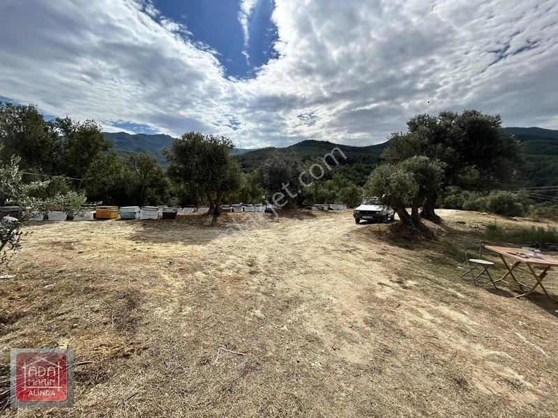 Davutlar Merkeze 300 Mt 14.000 M² Panoramik Deniz Manzaralı Arsa — fotoğraf 24