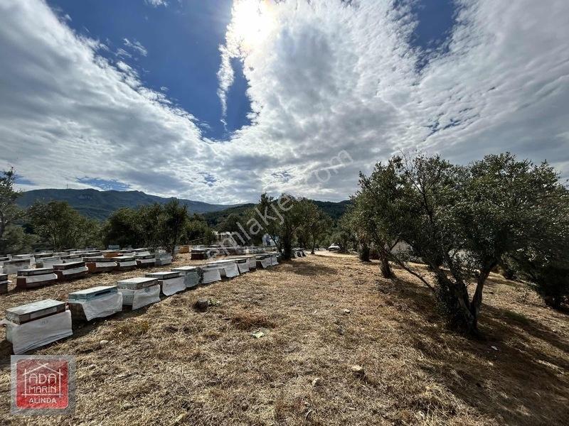 Davutlar Merkeze 300 Mt 14.000 M² Panoramik Deniz Manzaralı Arsa — fotoğraf 26