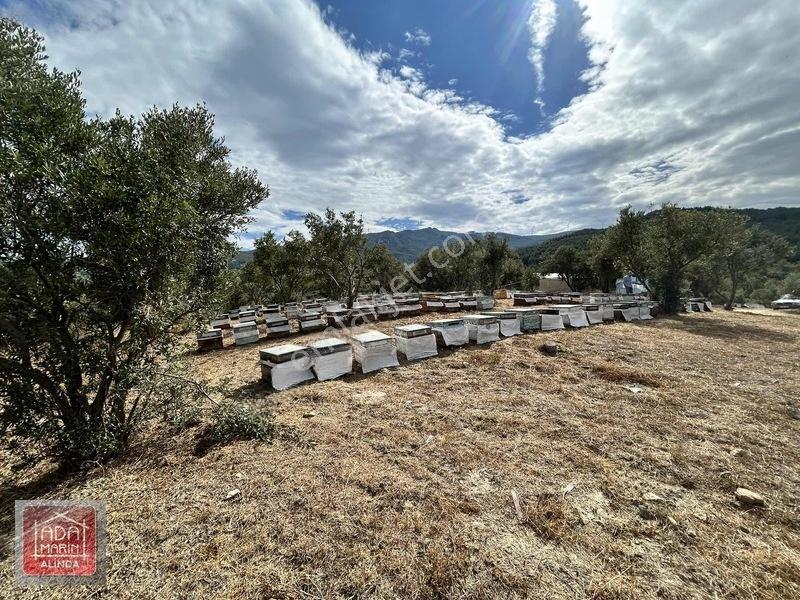 Davutlar Merkeze 300 Mt 14.000 M² Panoramik Deniz Manzaralı Arsa — fotoğraf 27