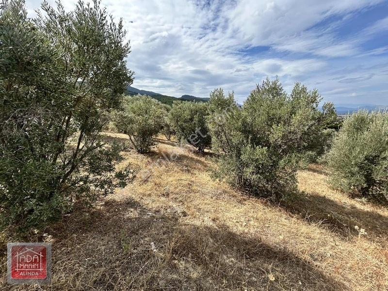 Davutlar Merkeze 300 Mt 14.000 M² Panoramik Deniz Manzaralı Arsa — fotoğraf 28