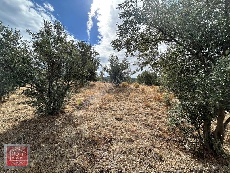 Davutlar Merkeze 300 Mt 14.000 M² Panoramik Deniz Manzaralı Arsa — fotoğraf 30