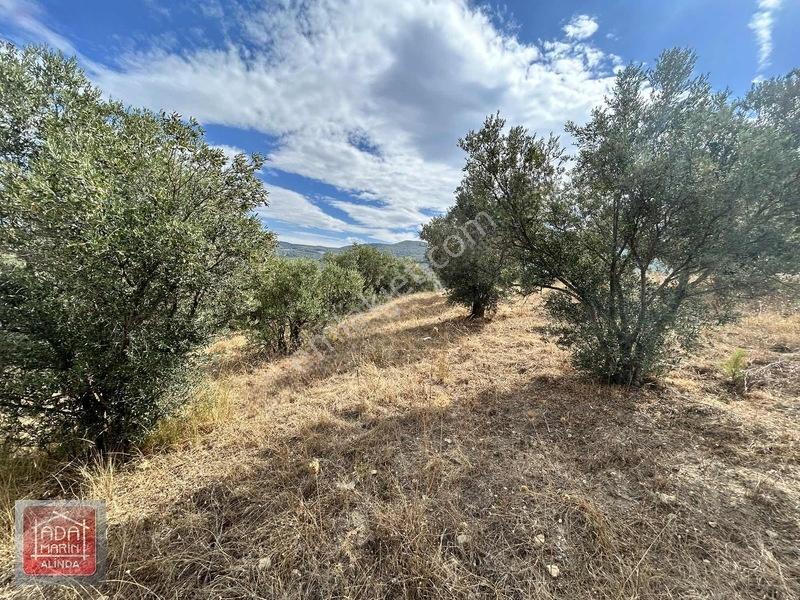 Davutlar Merkeze 300 Mt 14.000 M² Panoramik Deniz Manzaralı Arsa — fotoğraf 31