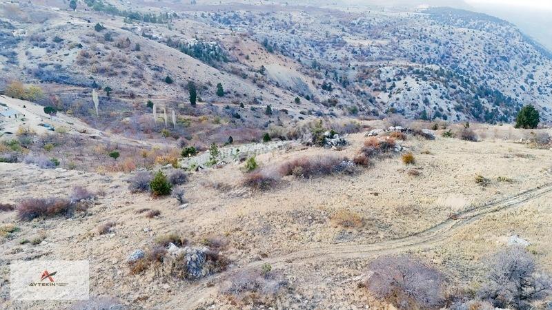 2 Dönüme Yakın Müstakil Toprak! Elmayurdunda Bahçeni Kur — fotoğraf 4