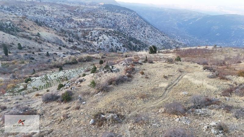 2 Dönüme Yakın Müstakil Toprak! Elmayurdunda Bahçeni Kur — fotoğraf 5