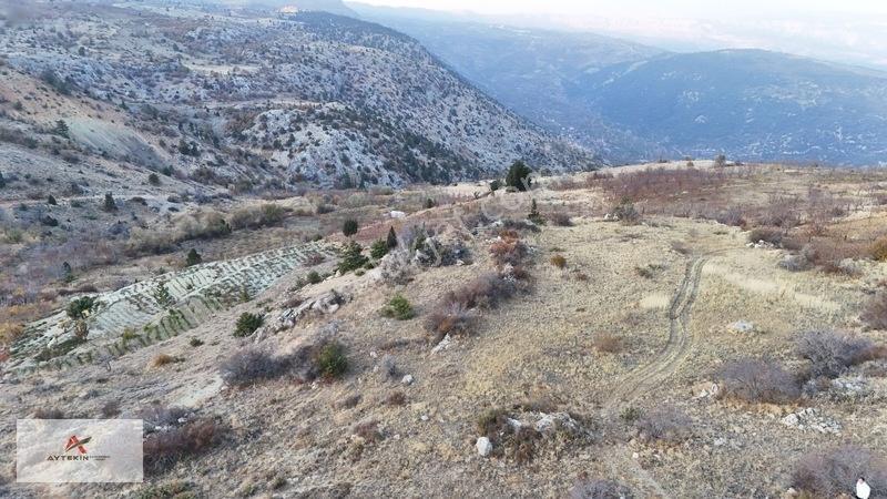 2 Dönüme Yakın Müstakil Toprak! Elmayurdunda Bahçeni Kur — fotoğraf 6