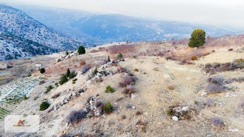 2 Dönüme Yakın Müstakil Toprak! Elmayurdunda Bahçeni Kur — fotoğraf 7