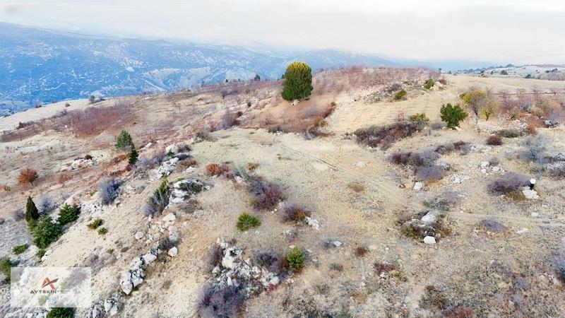 2 Dönüme Yakın Müstakil Toprak! Elmayurdunda Bahçeni Kur — fotoğraf 8