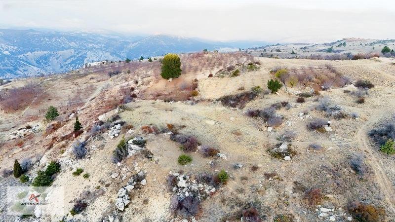 2 Dönüme Yakın Müstakil Toprak! Elmayurdunda Bahçeni Kur — fotoğraf 9