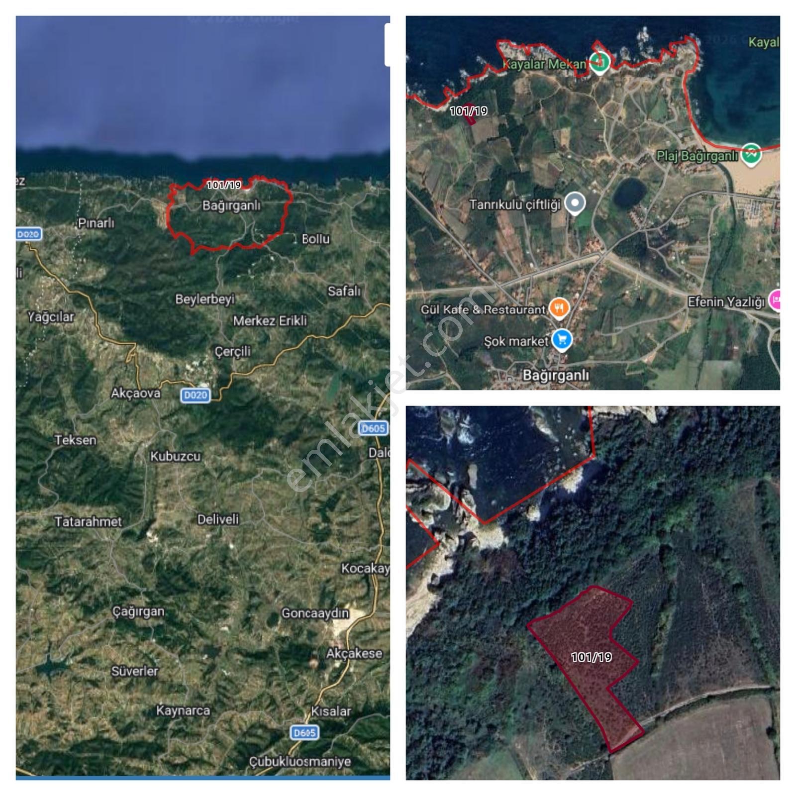 Bağırganlı Köy Kenarında Deniz Manzaralı 2057 M2 Tek Tapu Tarla — fotoğraf 3