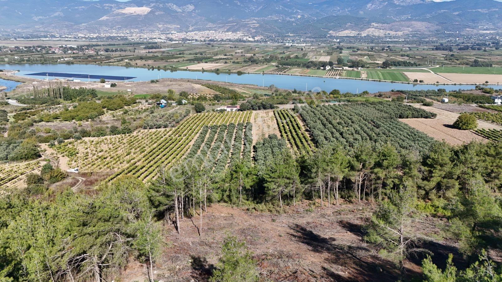 Geyve Bozören 3276 M2 Göl Manzaralı Arsa