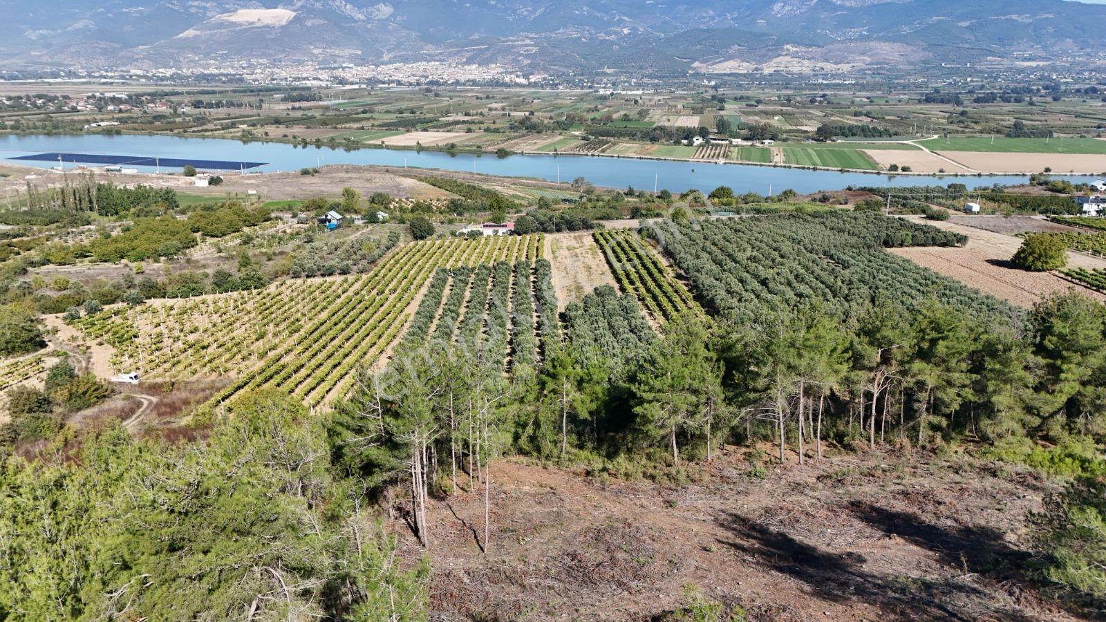 Geyve Bozören 3276 M2 Göl Manzaralı Arsa — fotoğraf 2