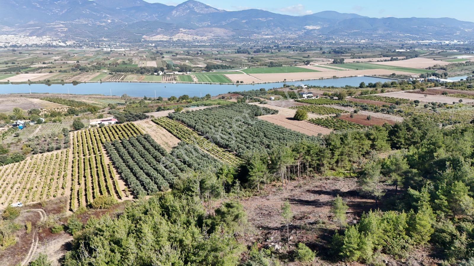 Geyve Bozören 3276 M2 Göl Manzaralı Arsa — fotoğraf 3