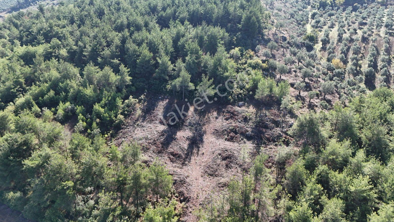 Geyve Bozören 3276 M2 Göl Manzaralı Arsa — fotoğraf 4