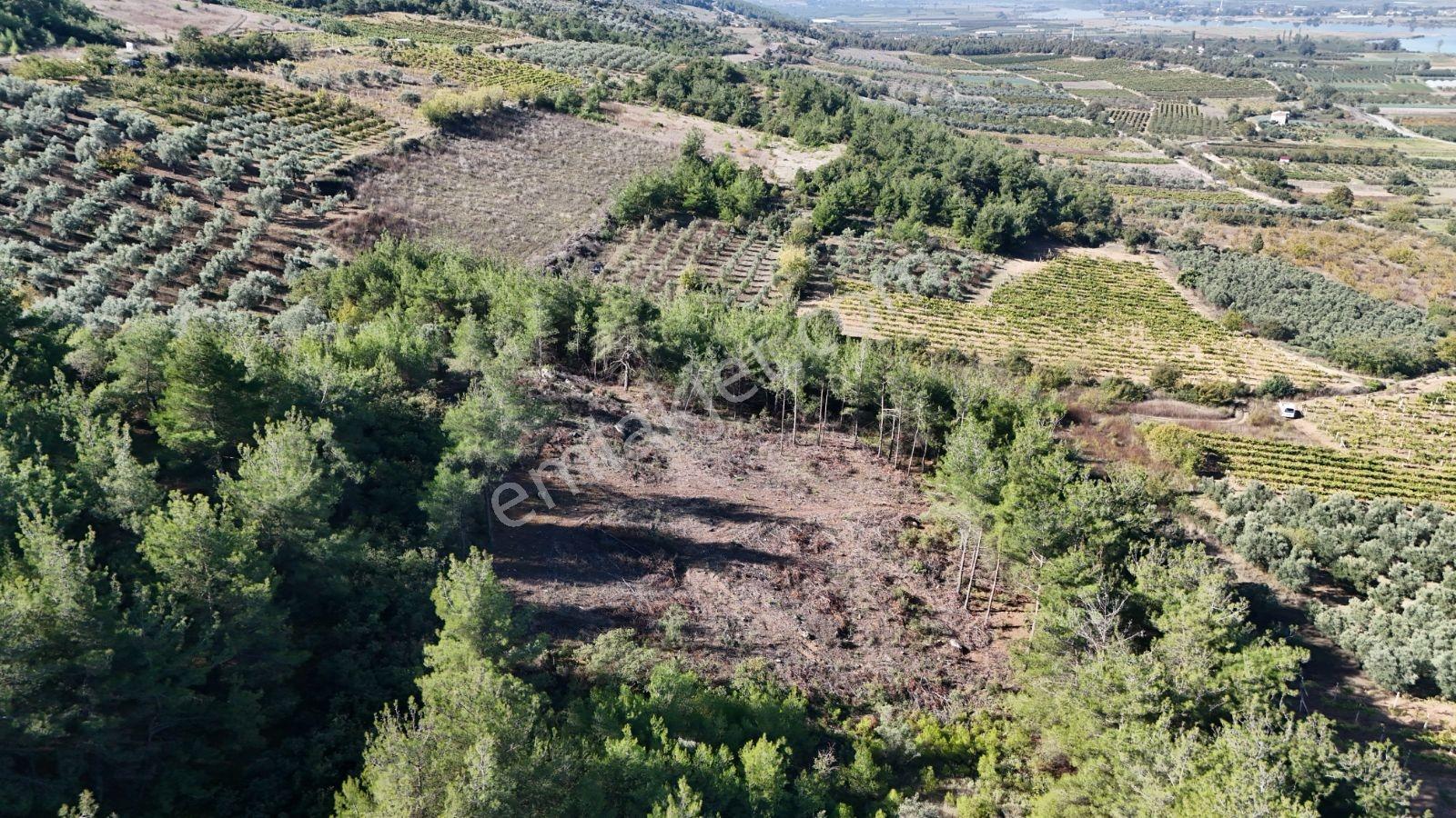 Geyve Bozören 3276 M2 Göl Manzaralı Arsa — fotoğraf 5
