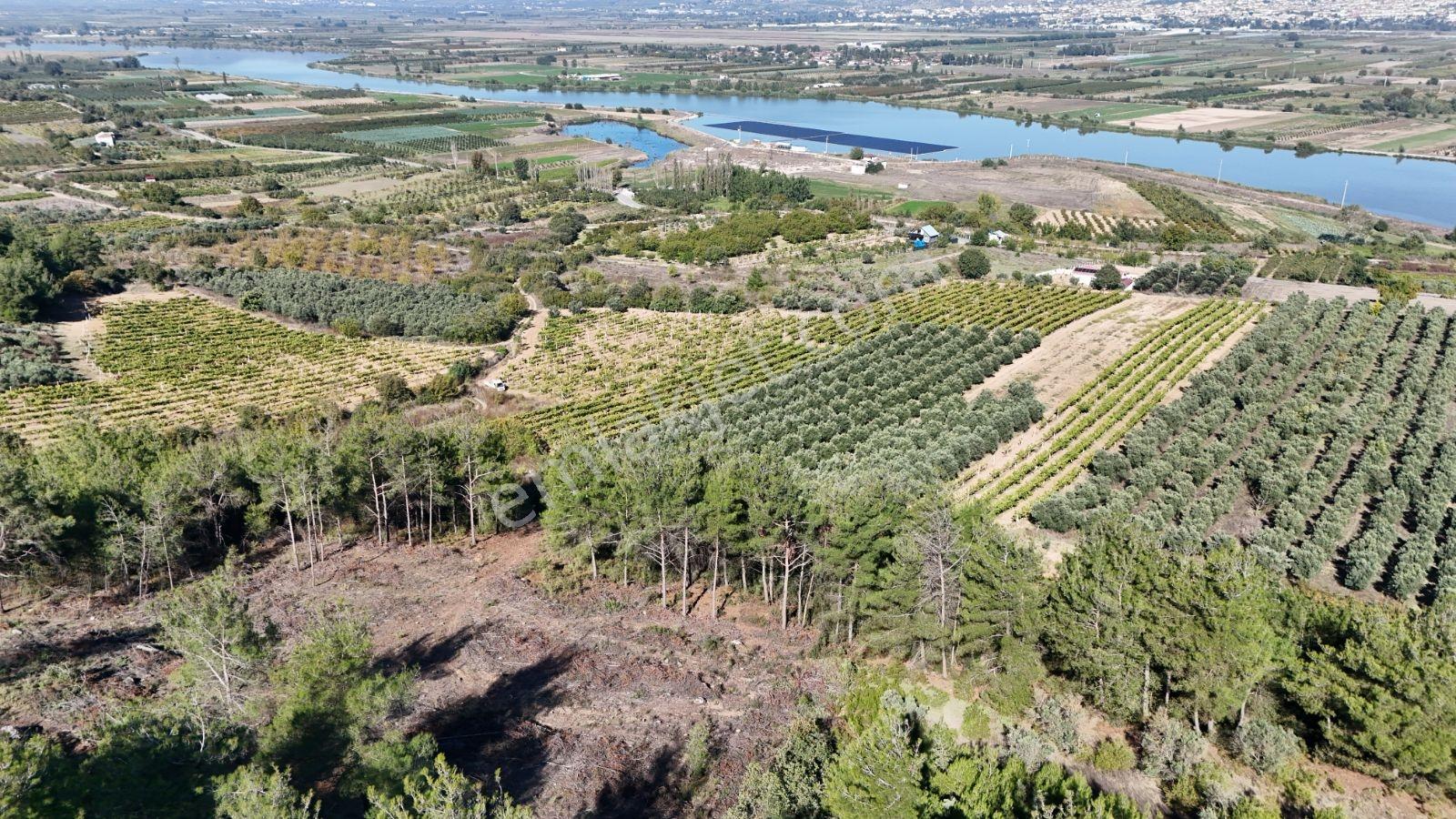 Geyve Bozören 3276 M2 Göl Manzaralı Arsa — fotoğraf 6