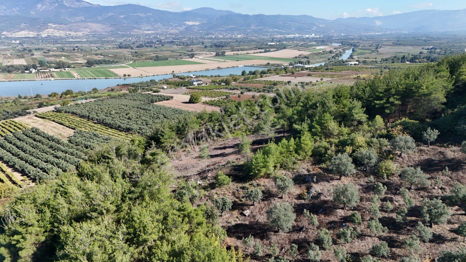 Geyve Bozören 3276 M2 Göl Manzaralı Arsa — fotoğraf 7