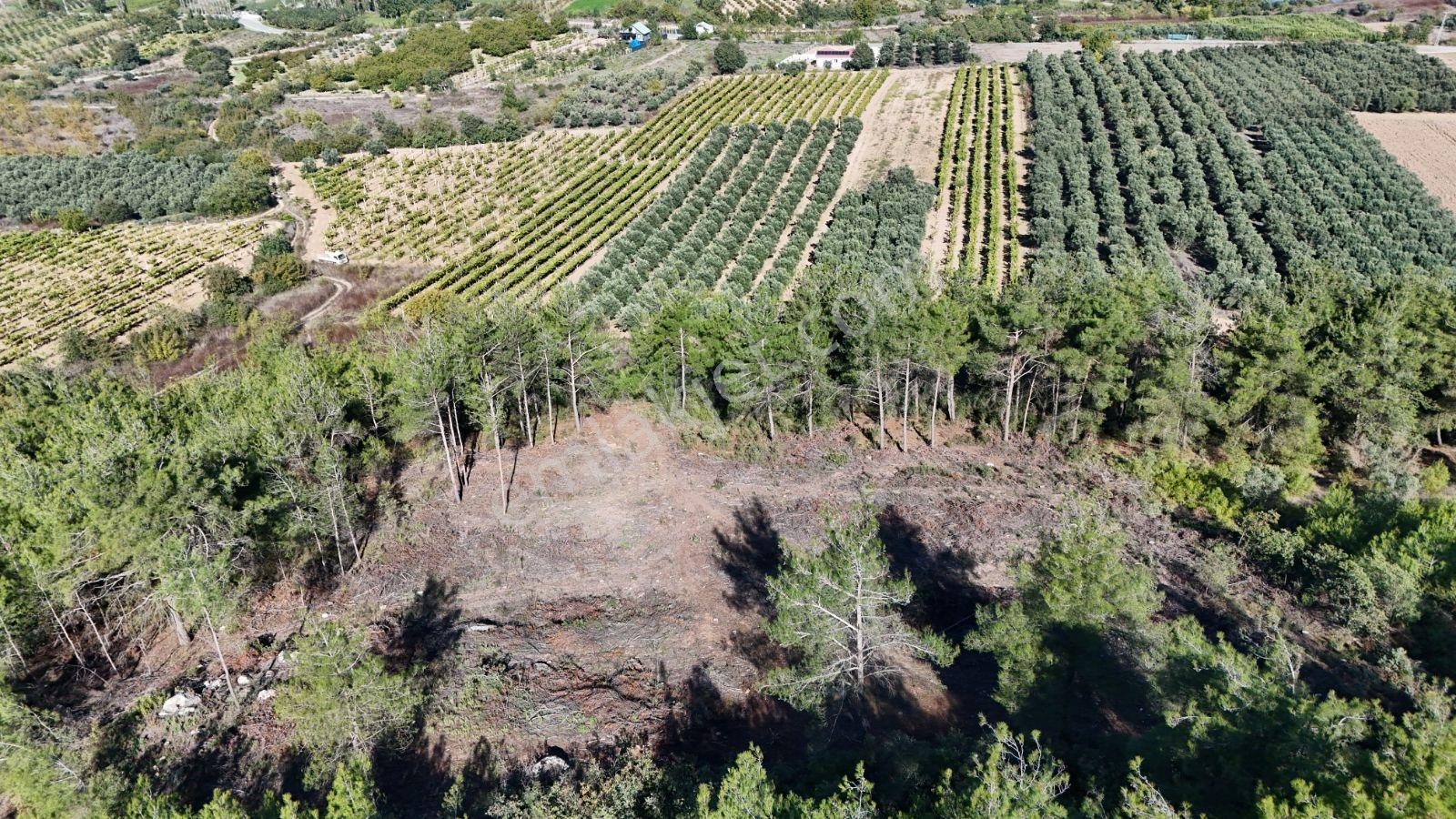 Geyve Bozören 3276 M2 Göl Manzaralı Arsa — fotoğraf 8