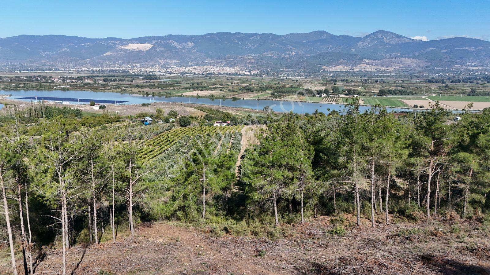 Geyve Bozören 3276 M2 Göl Manzaralı Arsa — fotoğraf 9