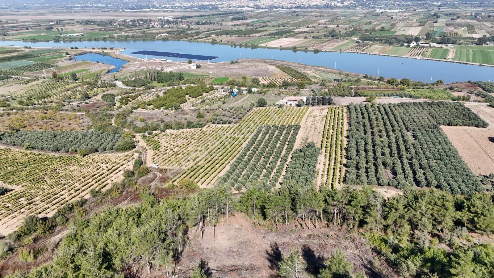 Geyve Bozören 3276 M2 Göl Manzaralı Arsa — fotoğraf 10