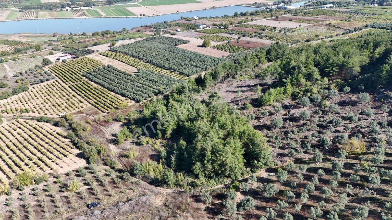 Geyve Bozören 3276 M2 Göl Manzaralı Arsa — fotoğraf 11