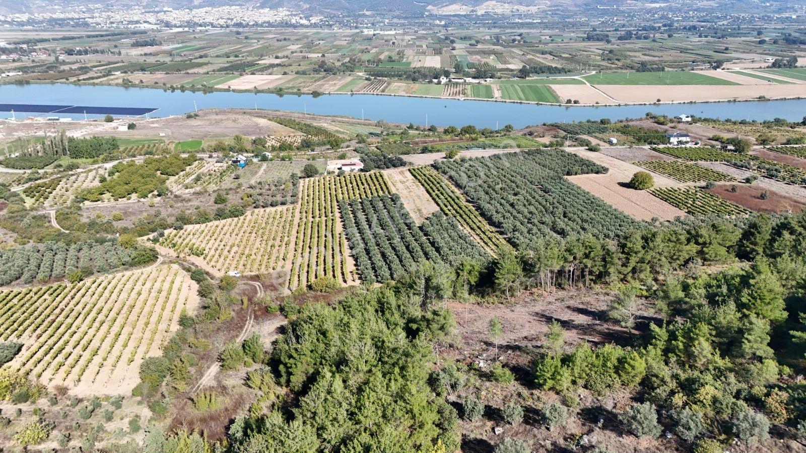 Geyve Bozören 3276 M2 Göl Manzaralı Arsa — fotoğraf 12