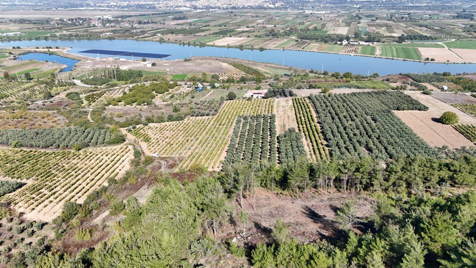 Geyve Bozören 3276 M2 Göl Manzaralı Arsa — fotoğraf 13