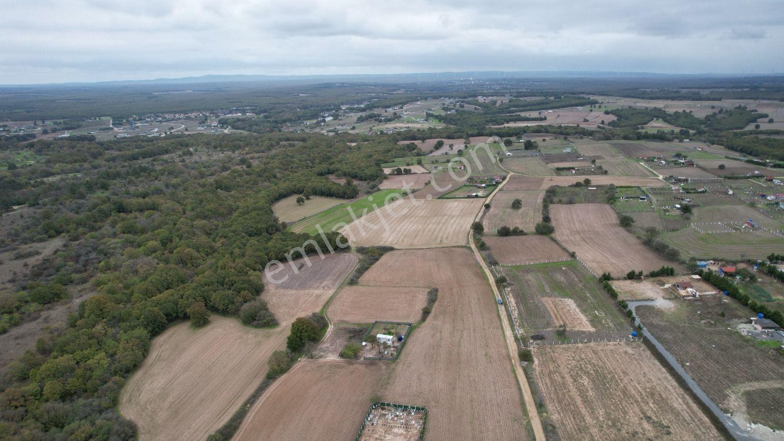 Silivri Çayırdere 2784 M2 Tarla Bölgenin En İyi Fiyatı — fotoğraf 10