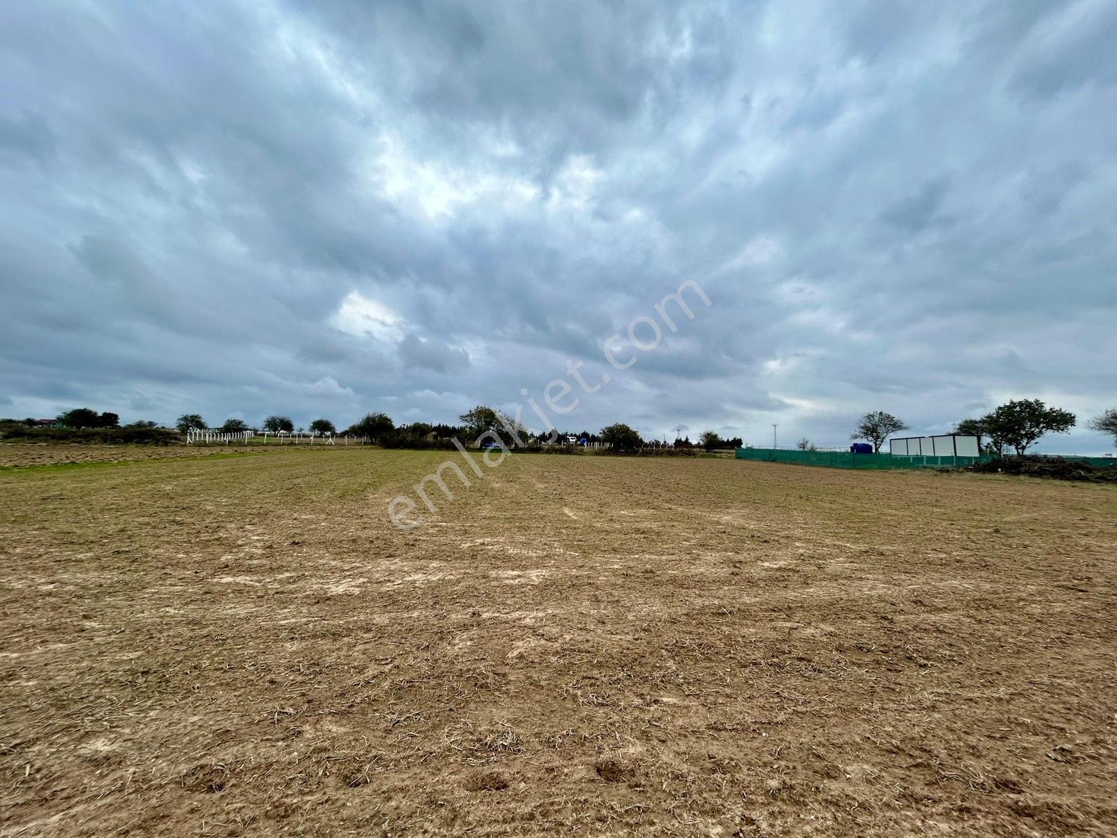 Silivri Çayırdere 2784 M2 Tarla Bölgenin En İyi Fiyatı — fotoğraf 20
