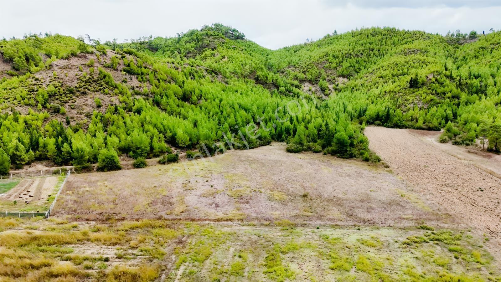 Beşkonak Irmağına 150 Metre Mesafede Hobi Bahçesi — fotoğraf 12