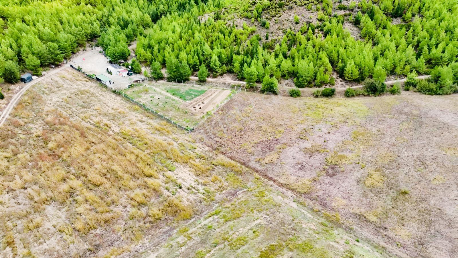 Beşkonak Irmağına 150 Metre Mesafede Hobi Bahçesi — fotoğraf 13