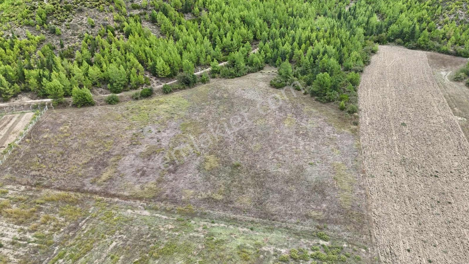 Beşkonak Irmağına 150 Metre Mesafede Hobi Bahçesi — fotoğraf 14