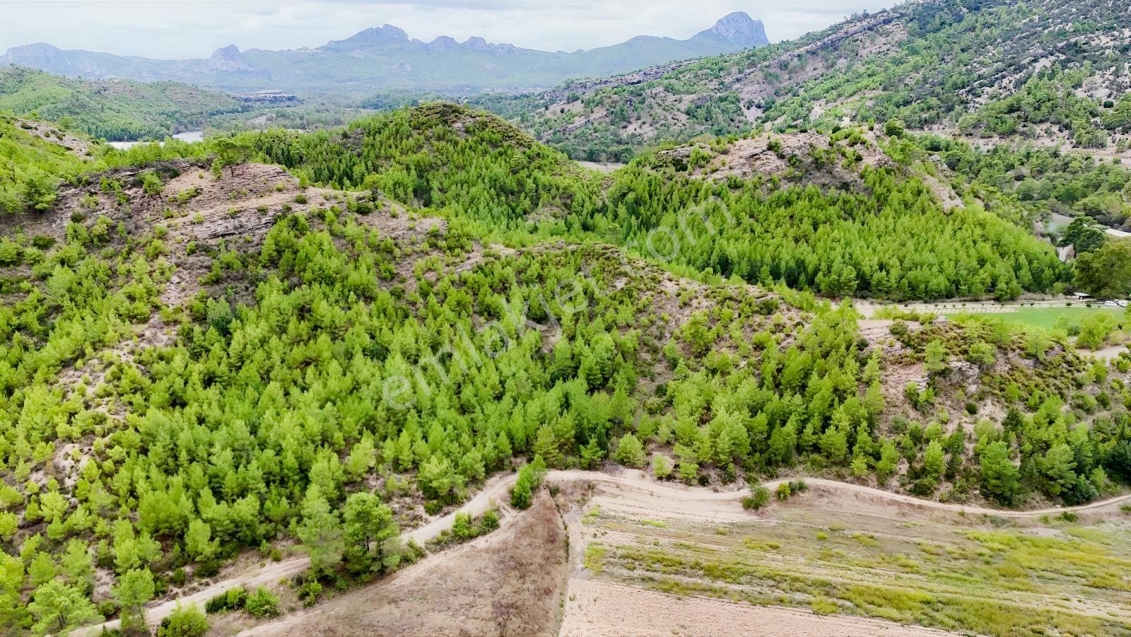 Beşkonak Irmağına 150 Metre Mesafede Hobi Bahçesi — fotoğraf 15