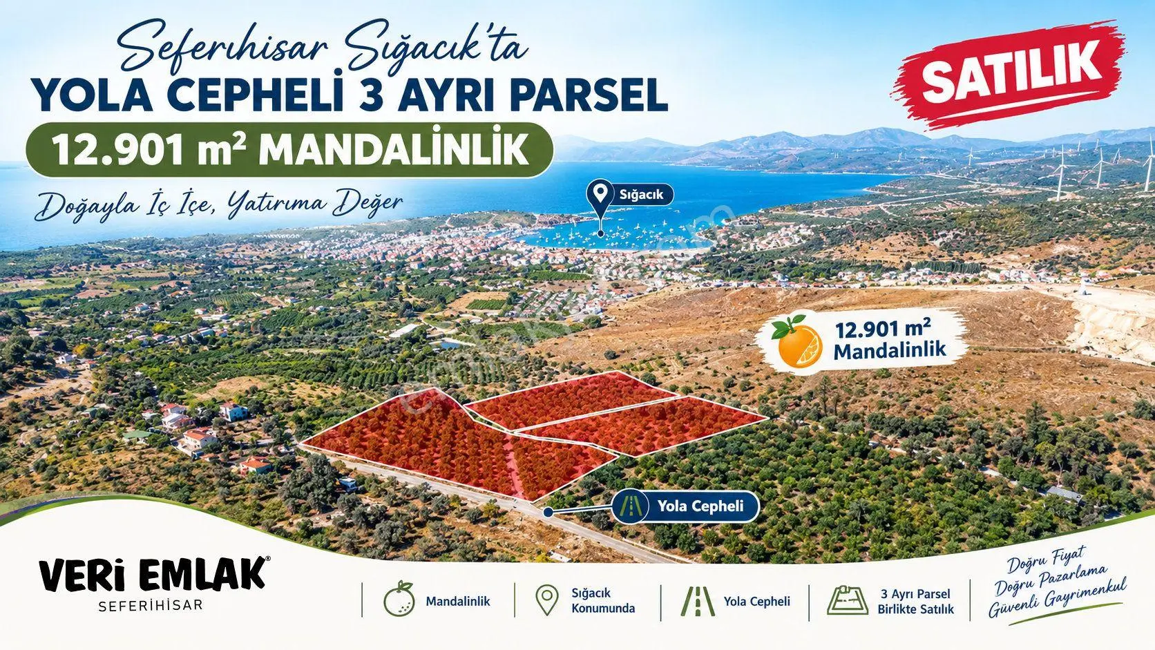 Seferihisar Sığacık Taşdibi Mevkiinde 12.901 M² Mandalina Bahçesi