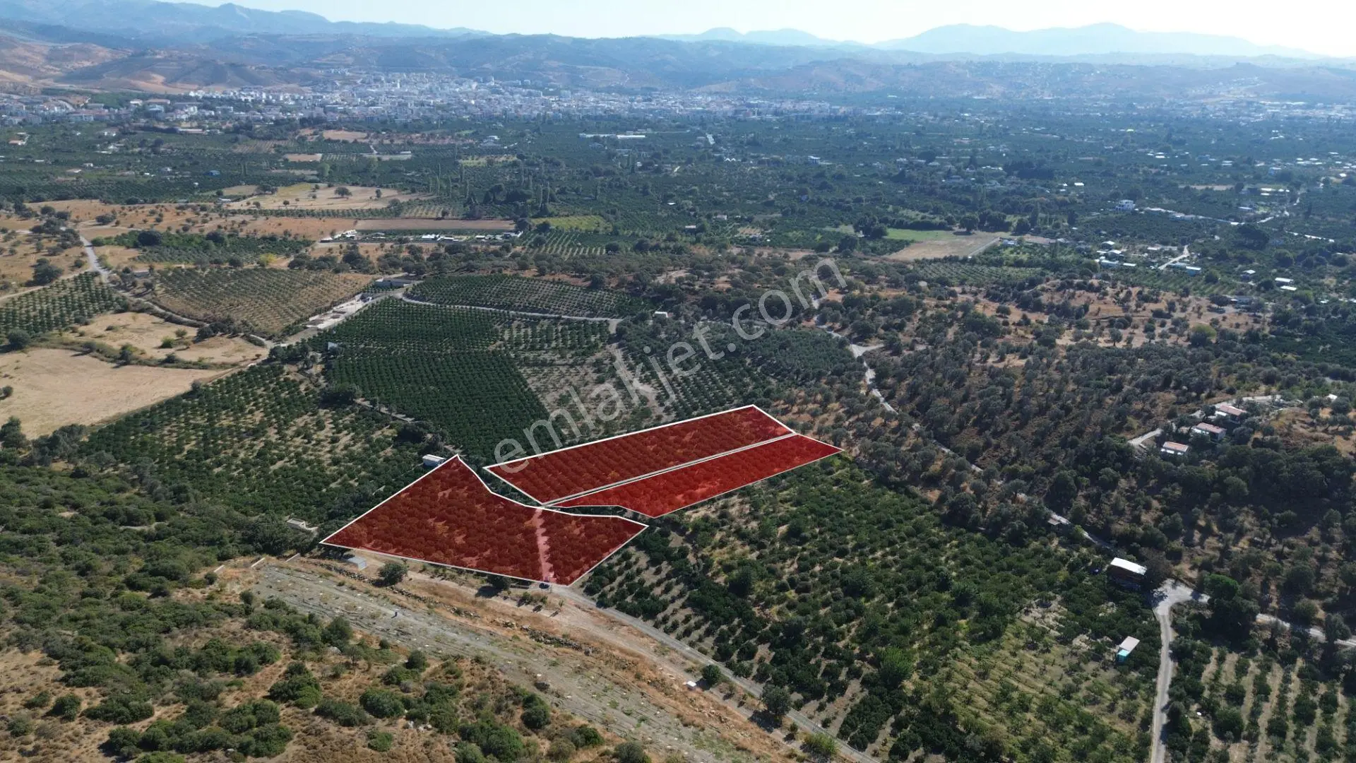 Seferihisar Sığacık Taşdibi Mevkiinde 12.901 M² Mandalina Bahçesi — fotoğraf 4