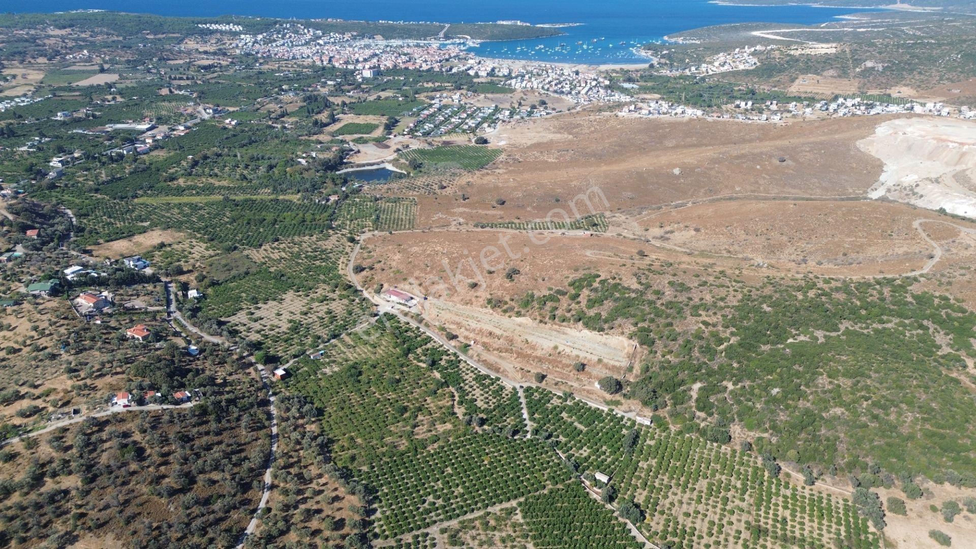 Seferihisar Sığacık Taşdibi Mevkiinde 12.901 M² Mandalina Bahçesi — fotoğraf 21