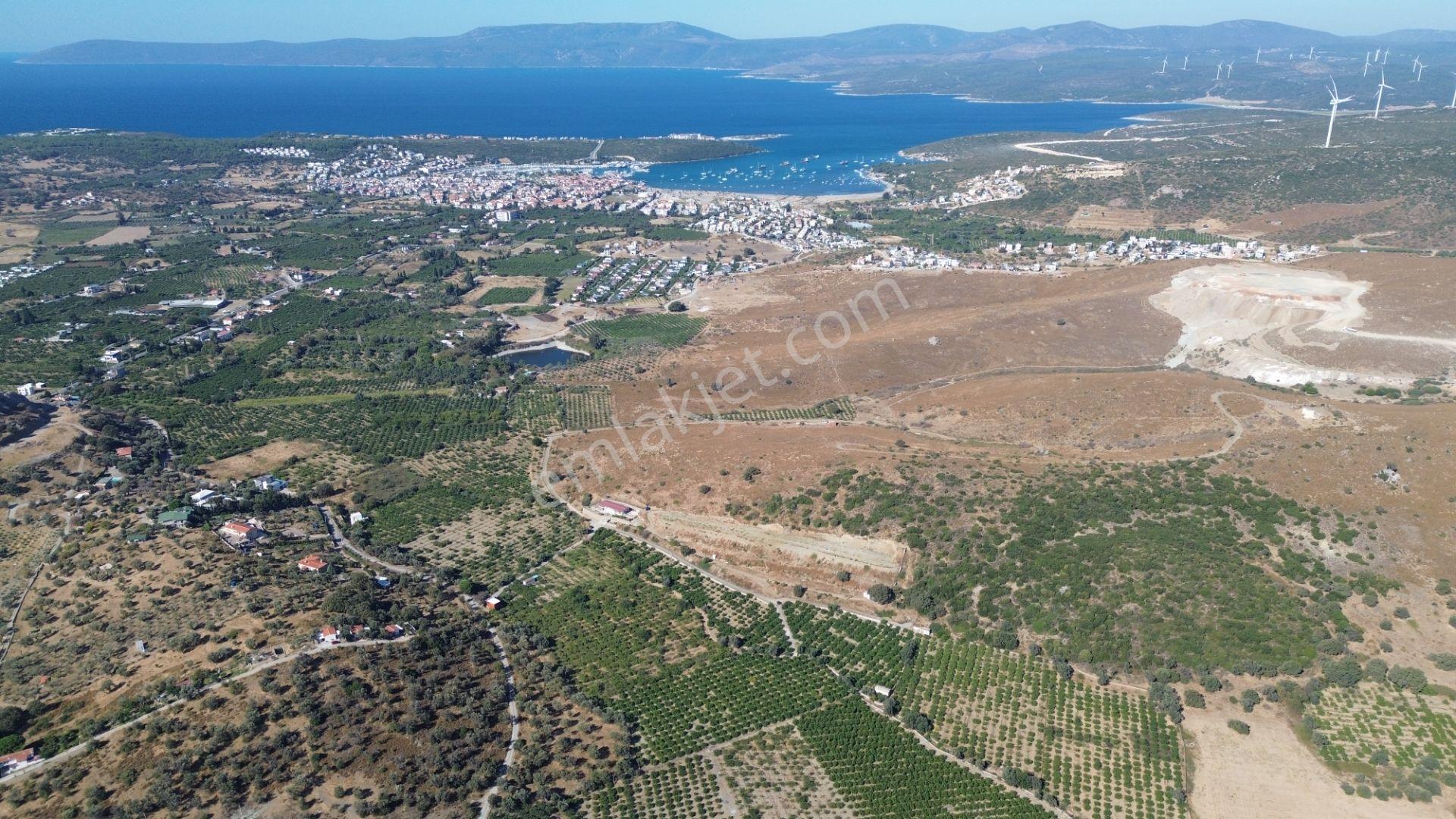 Seferihisar Sığacık Taşdibi Mevkiinde 12.901 M² Mandalina Bahçesi — fotoğraf 22