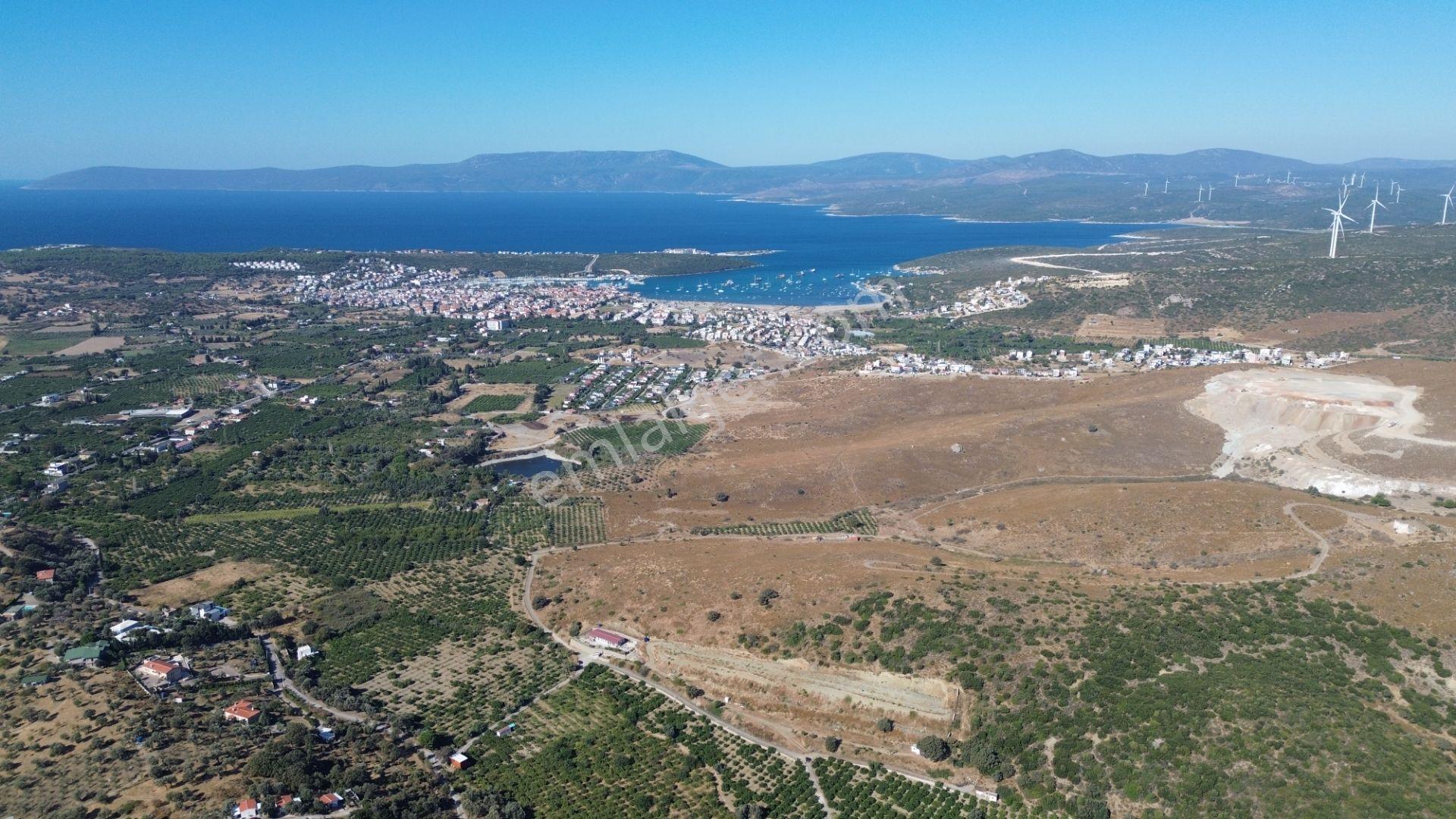 Seferihisar Sığacık Taşdibi Mevkiinde 12.901 M² Mandalina Bahçesi — fotoğraf 23