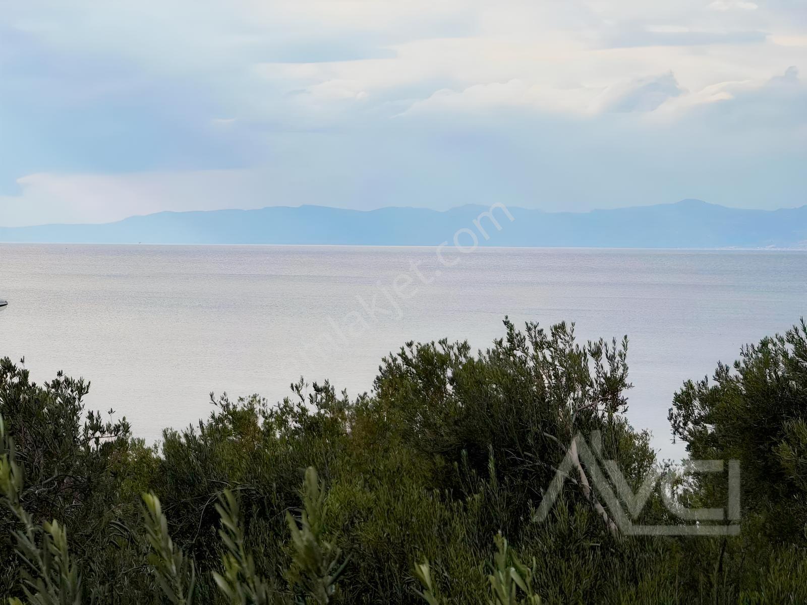 Avcı'dan Denize 150 Mt Deniz Manzaralı Müstakil Villa — fotoğraf 11