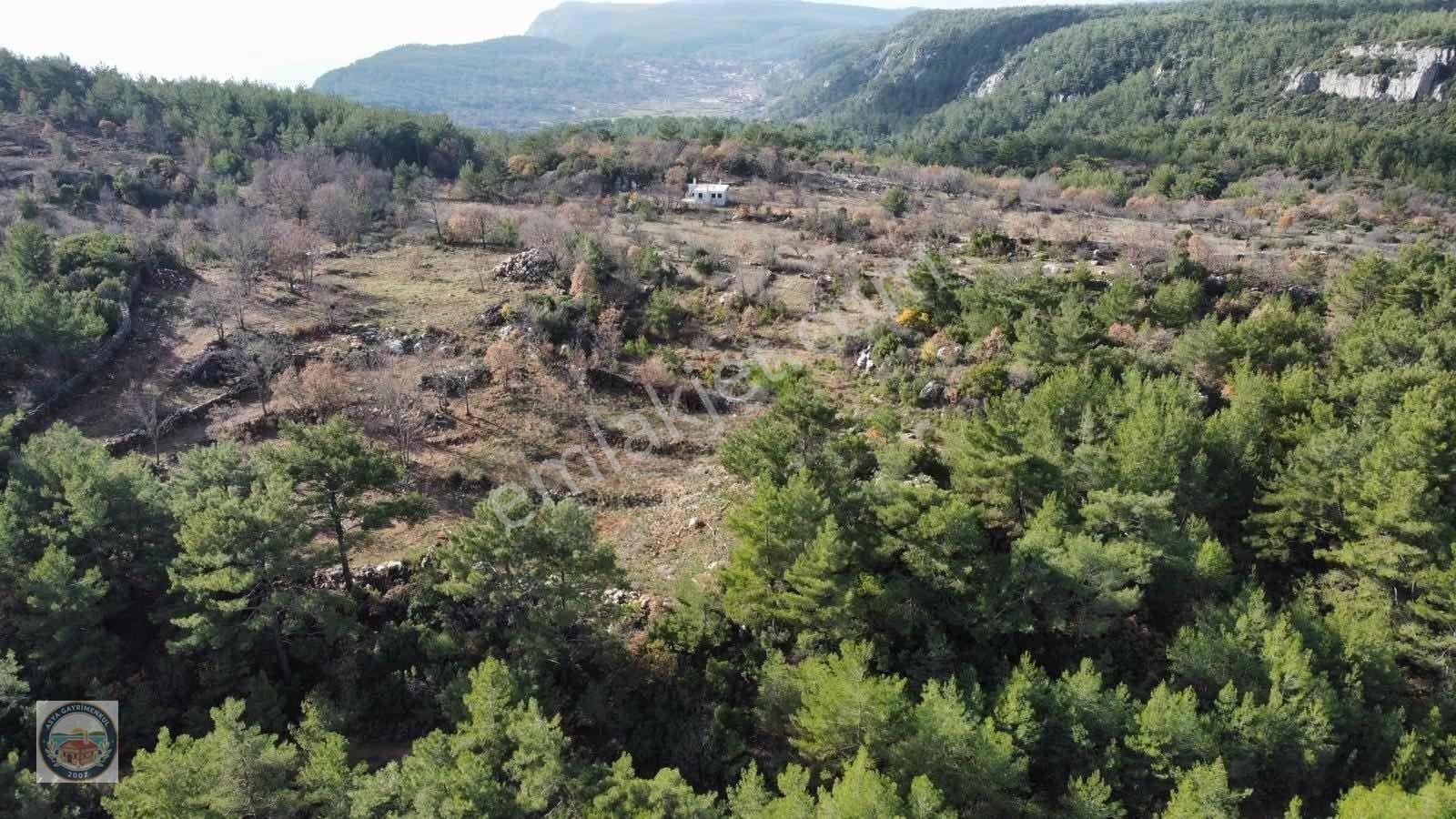 Sahile 20 Dakika Doğa İçinde Satılık Arazi