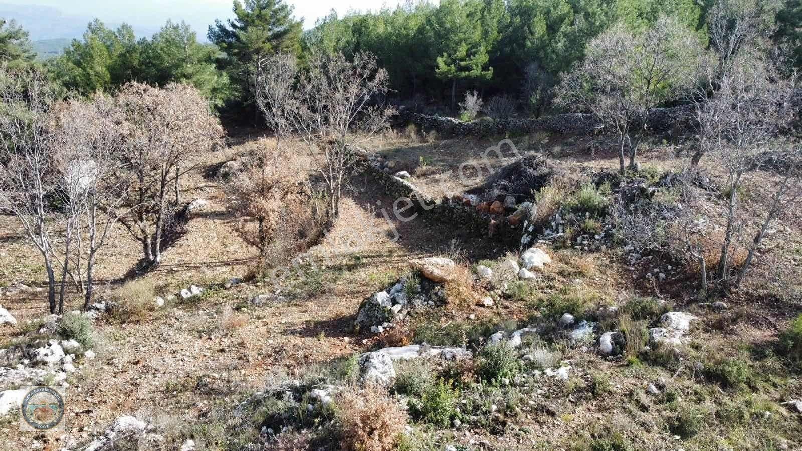 Sahile 20 Dakika Doğa İçinde Satılık Arazi — fotoğraf 2