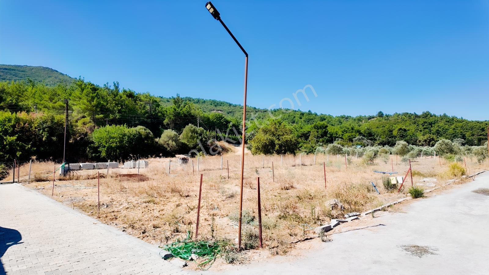 Seferihisarda 608m² Ana Yol Cepheli Koop.his. | Elektrik Su.. — fotoğraf 16