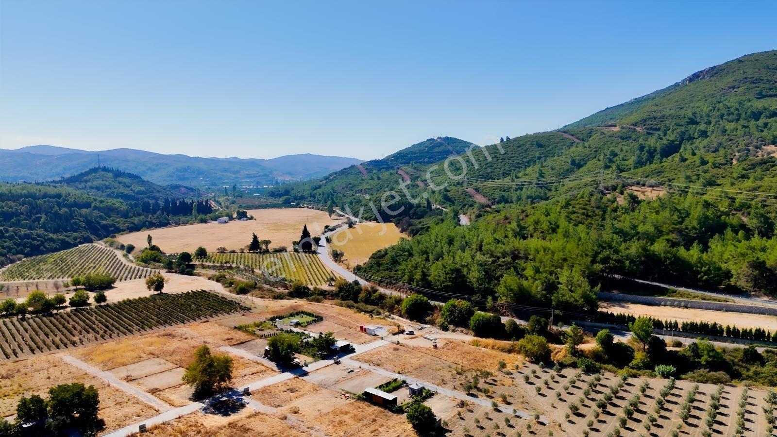 Seferihisarda 608m² Ana Yol Cepheli Koop.his. | Elektrik Su.. — fotoğraf 19