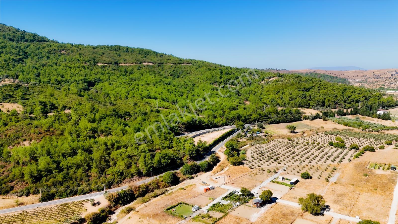 Seferihisarda 608m² Ana Yol Cepheli Koop.his. | Elektrik Su.. — fotoğraf 20