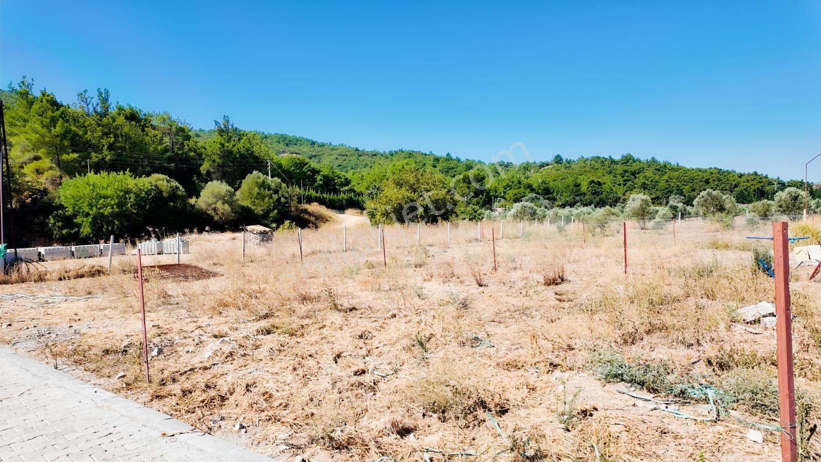 Seferihisarda 608m² Ana Yol Cepheli Koop.his. | Elektrik Su.. — fotoğraf 22