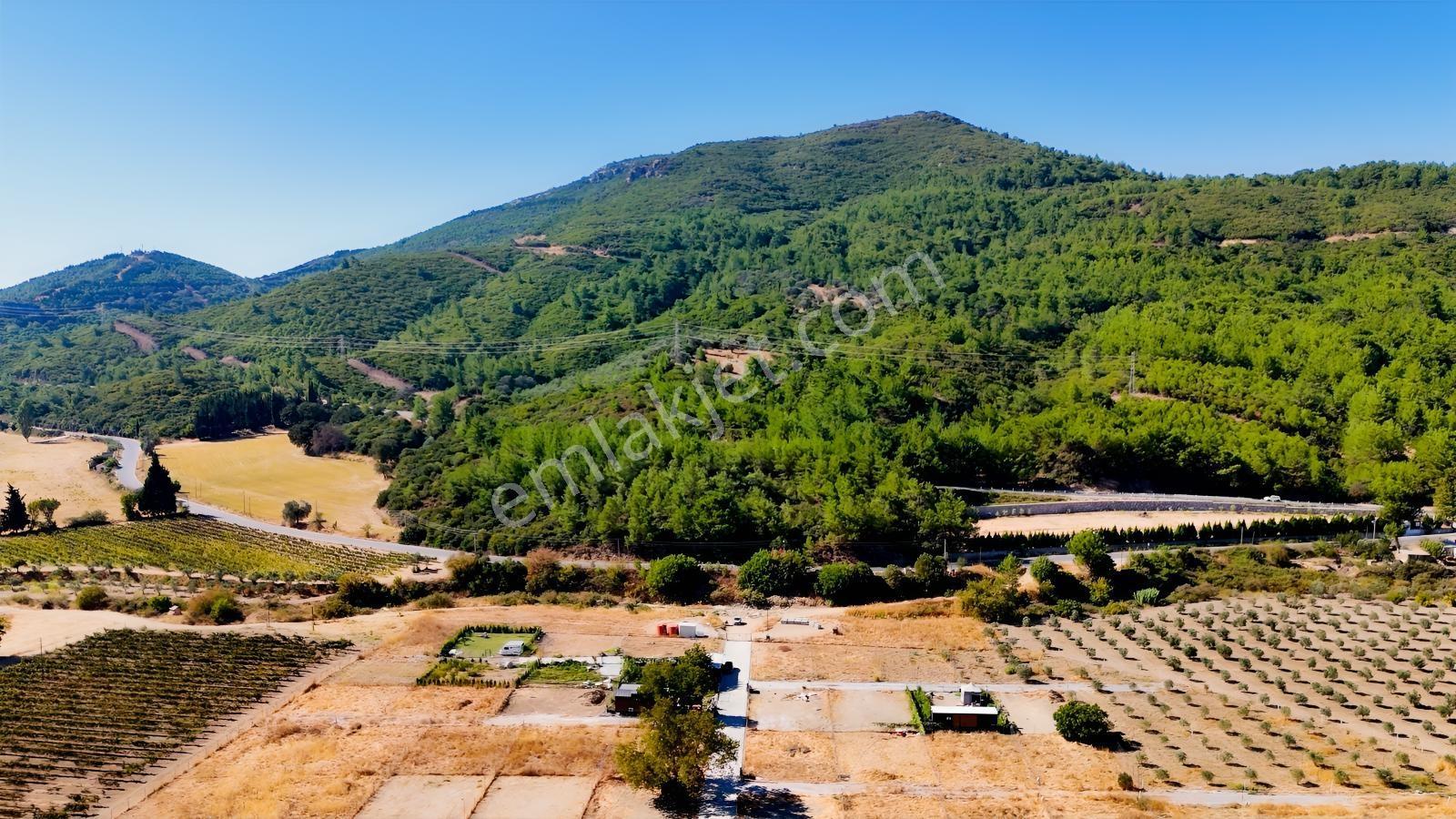 Seferihisarda 608m² Ana Yol Cepheli Koop.his. | Elektrik Su.. — fotoğraf 23
